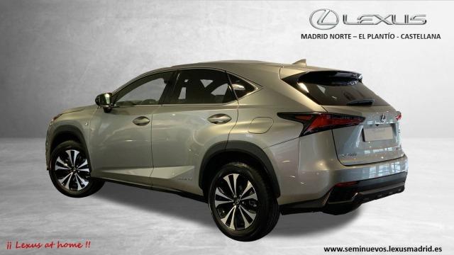 LEXUS 300h 2.5 300h 4WD F Sport Panorámico 441€/mes