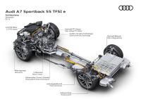 Audi A7 Sportback 55 TFSIe Híbrido enchufable